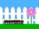 End of Daisies